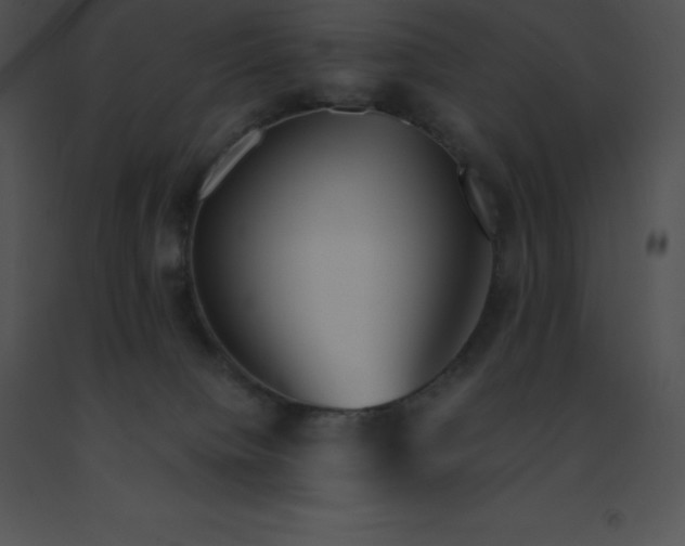 X0000091540084200708311341