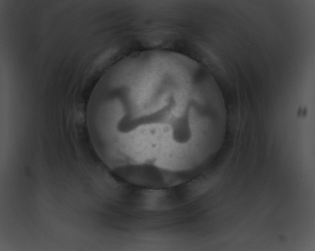 X0000091540085200708311341