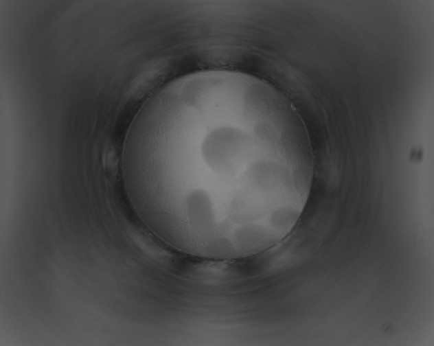 X0000091540086200708311341