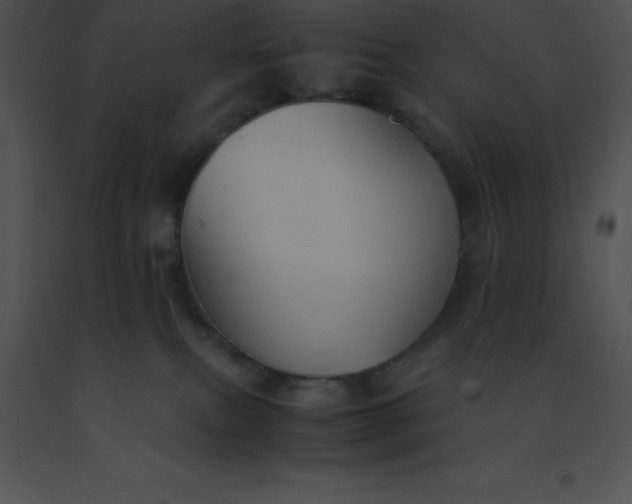 X0000091540087200708311341