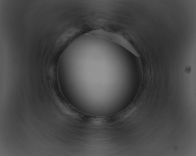 X0000091540088200708311341