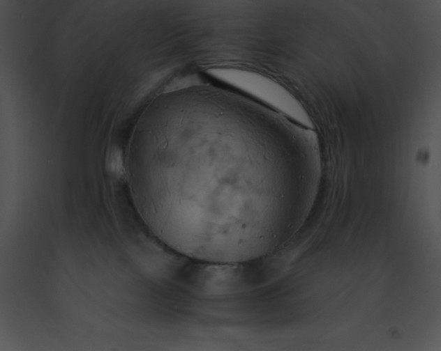 X0000091540089200708311341