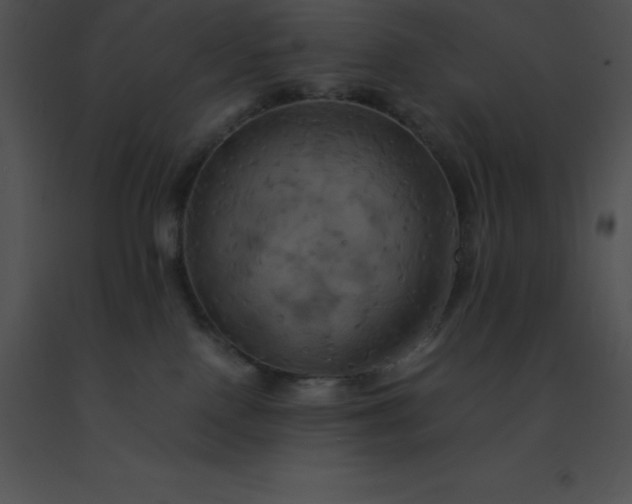 X0000091540090200708311341