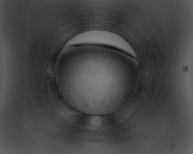 X0000091540091200708311341