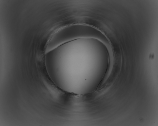 X0000091540092200708311341