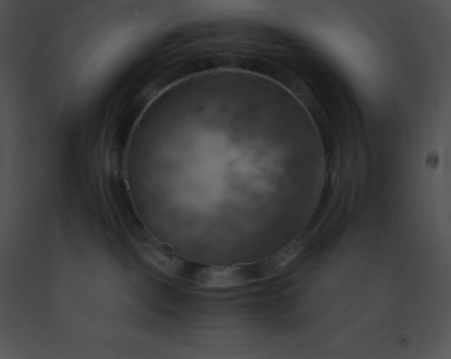 X0000091540093200708311341