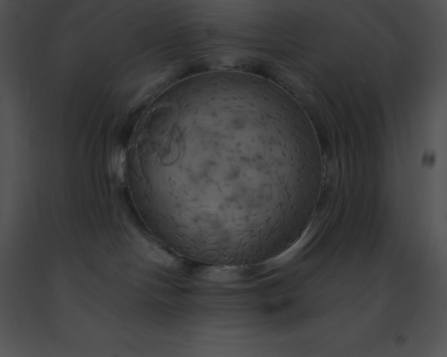 X0000091540094200708311341