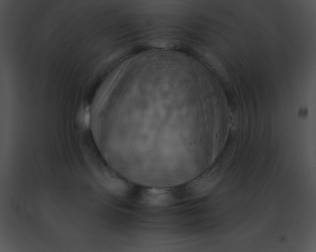 X0000091540095200708311341