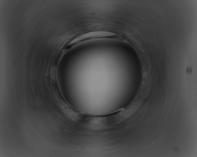 X0000091540096200708311341