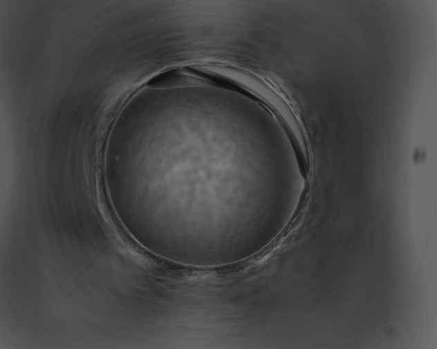 X0000091540097200708311341