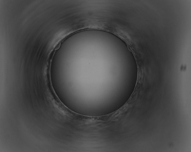 X0000091540098200708311341