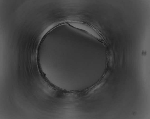 X0000091540100200708311341