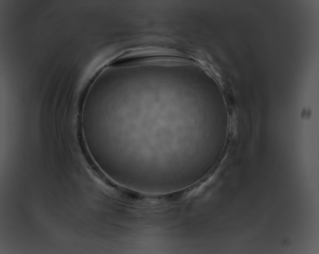 X0000091540101200708311341