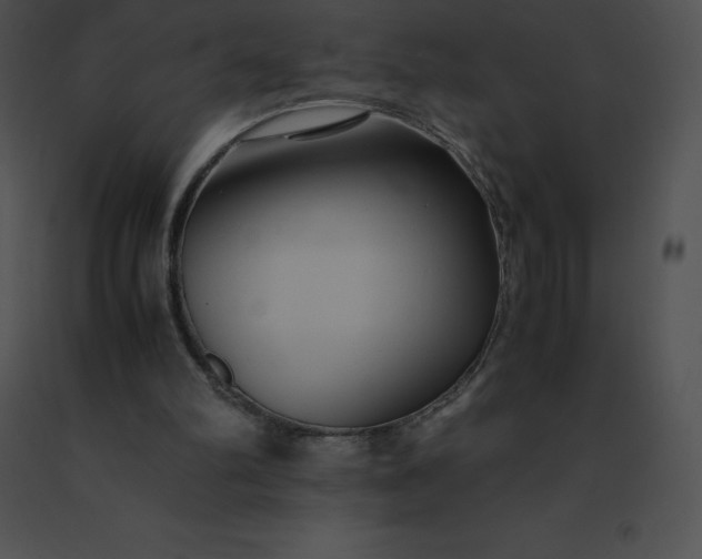 X0000091540102200708311341