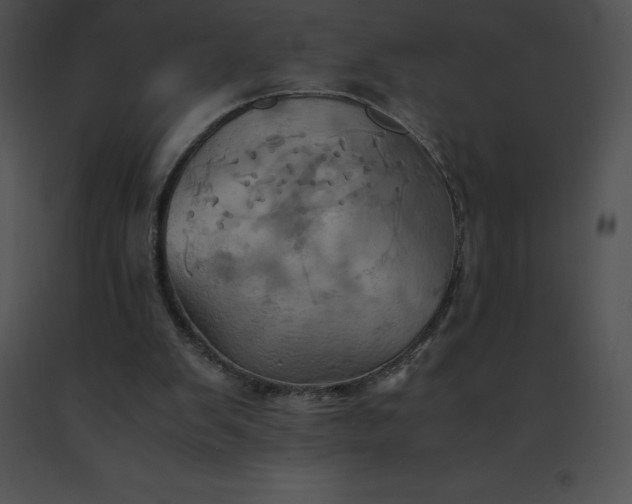 X0000091540103200708311341