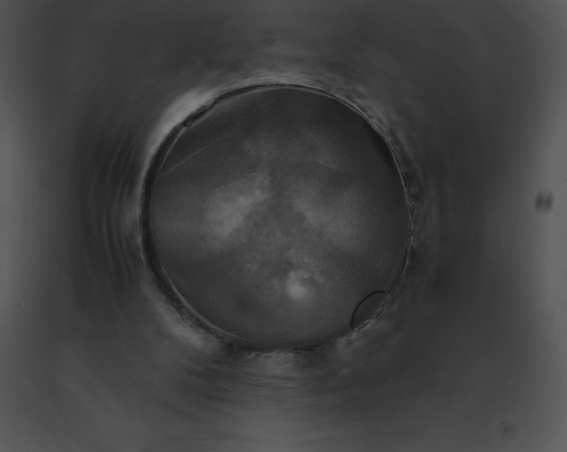 X0000091540104200708311341