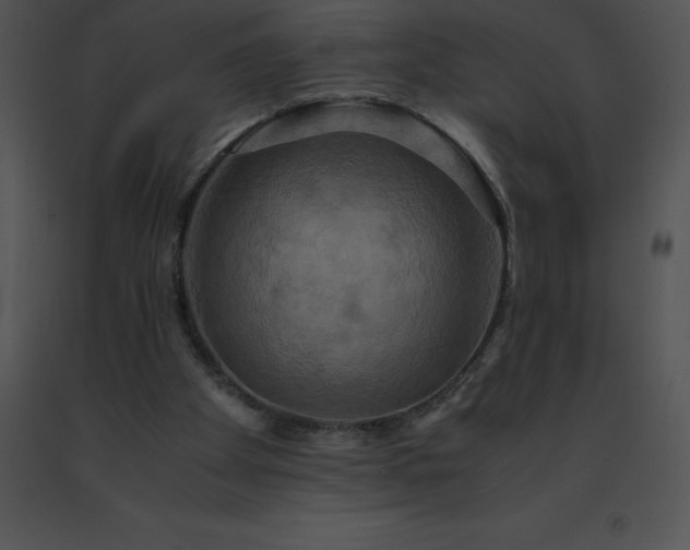 X0000091540105200708311340