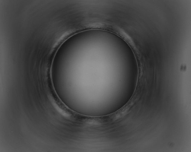 X0000091540106200708311340