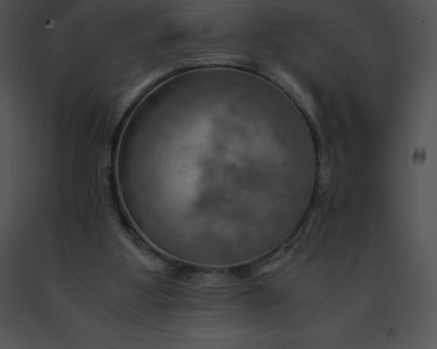 X0000091540107200708311340