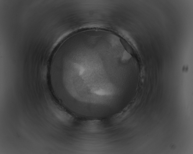 X0000091540108200708311340