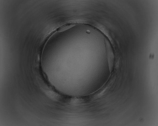 X0000091540109200708311340