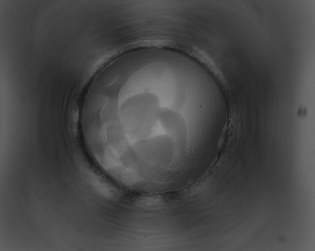 X0000091540110200708311340