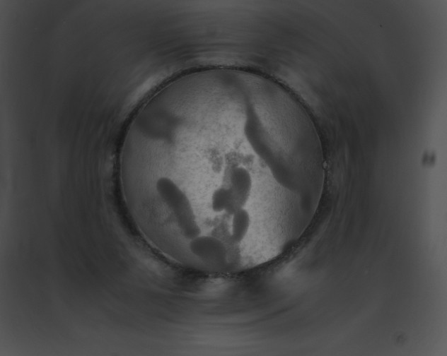 X0000091540111200708311340