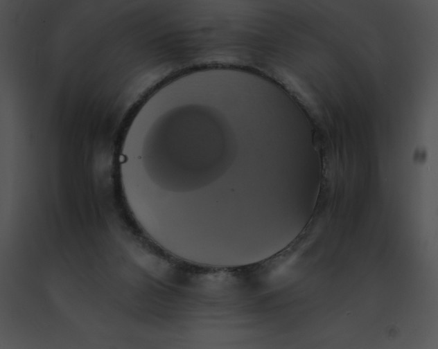 X0000091540112200708311340