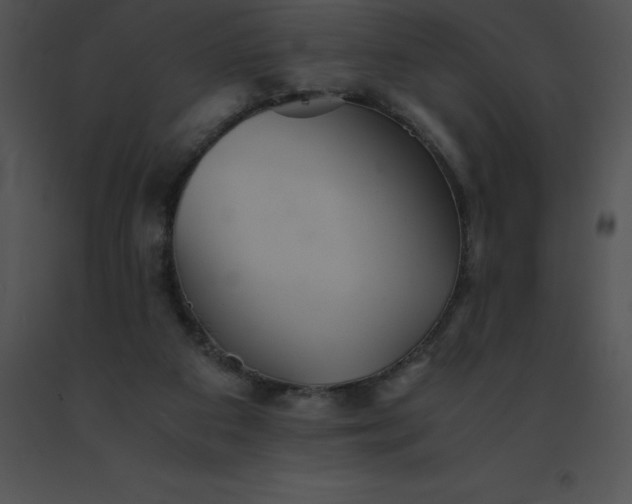 X0000091540113200708311340