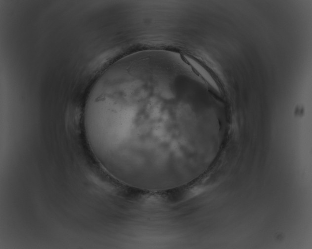 X0000091540115200708311340