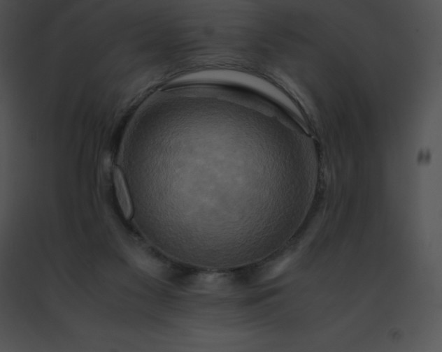 X0000091540117200708311340