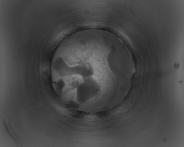 X0000091540119200708311340