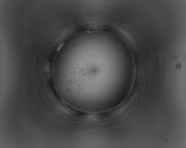 X0000091540121200708311340