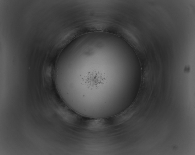 X0000091540122200708311340