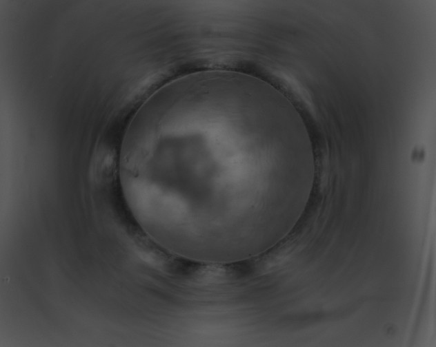 X0000091540123200708311340