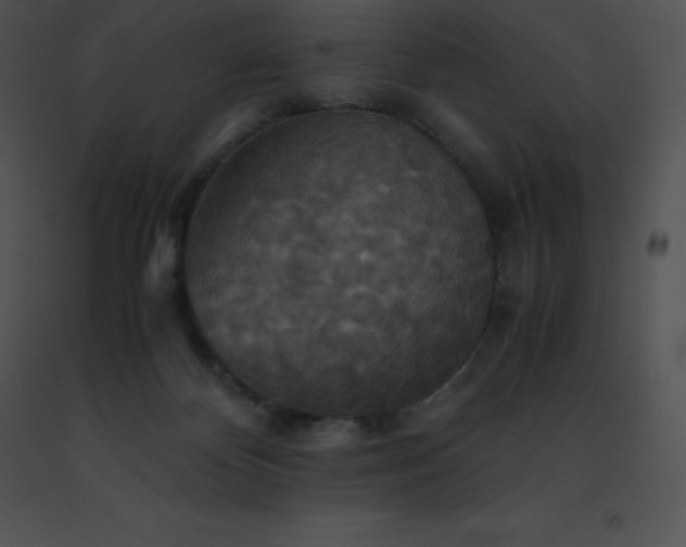 X0000091540124200708311340