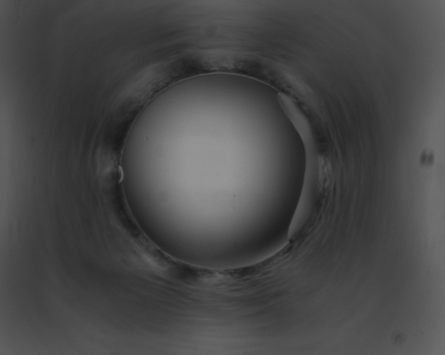 X0000091540125200708311340