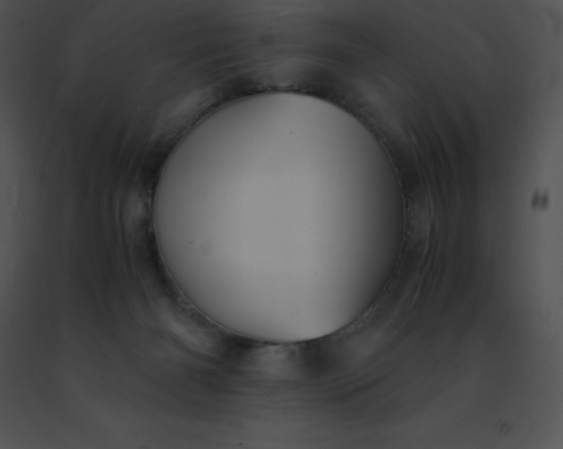 X0000091540126200708311340