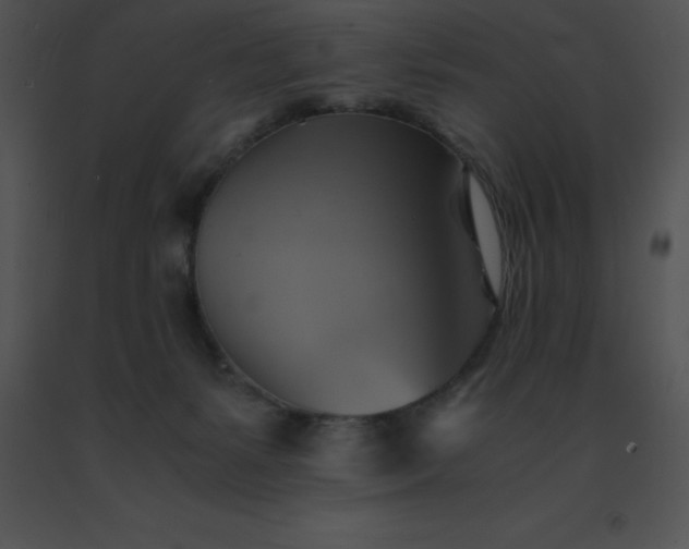 X0000091540127200708311340