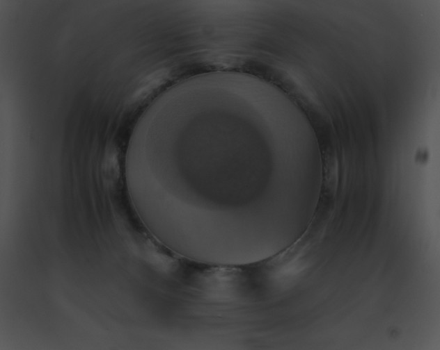 X0000091540128200708311340