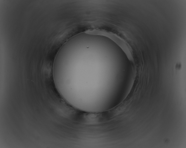 X0000091540129200708311340