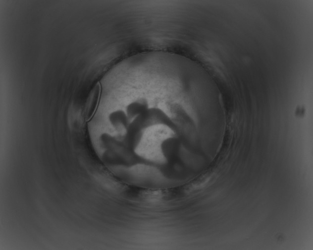 X0000091540131200708311340