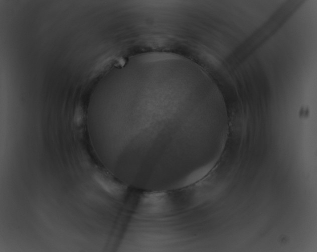 X0000091540132200708311340