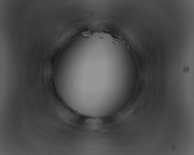 X0000091540133200708311340