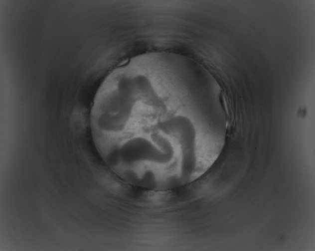 X0000091540135200708311340