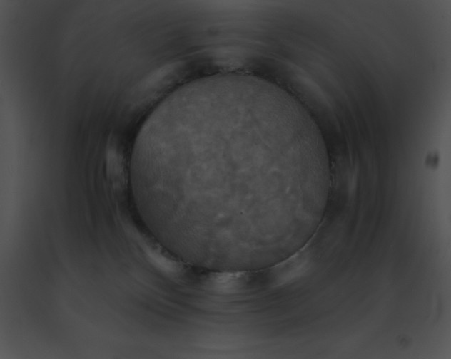 X0000091540136200708311340