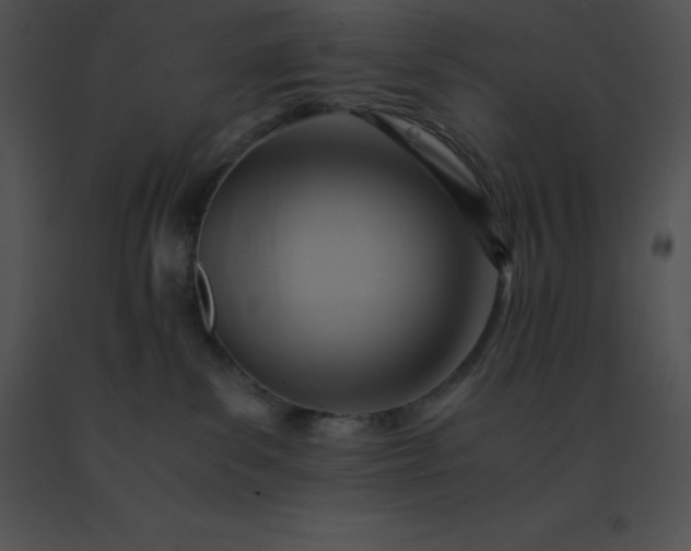 X0000091540139200708311340