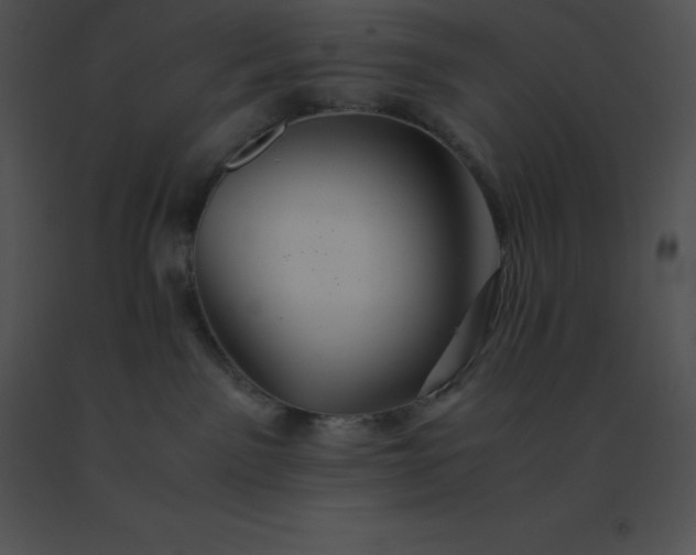 X0000091540141200708311340