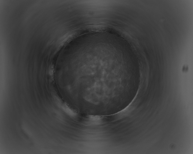 X0000091540144200708311340