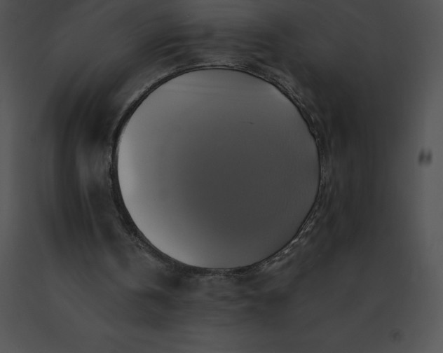 X0000091540146200708311339